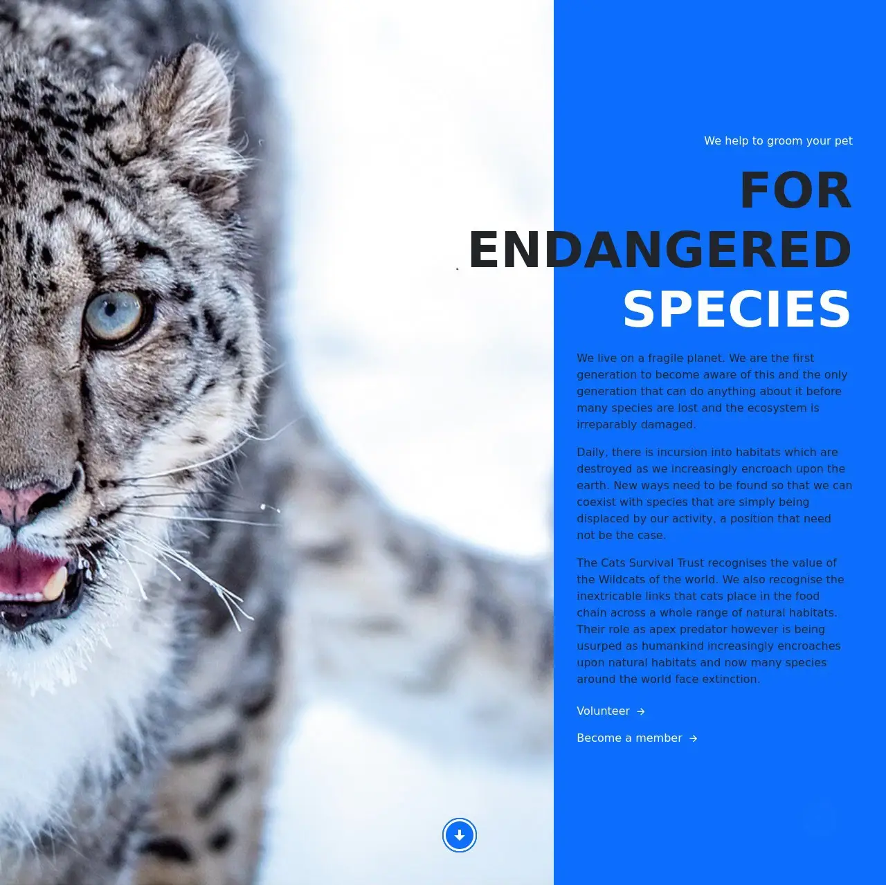 Cat Survival Trust - screenshot 3