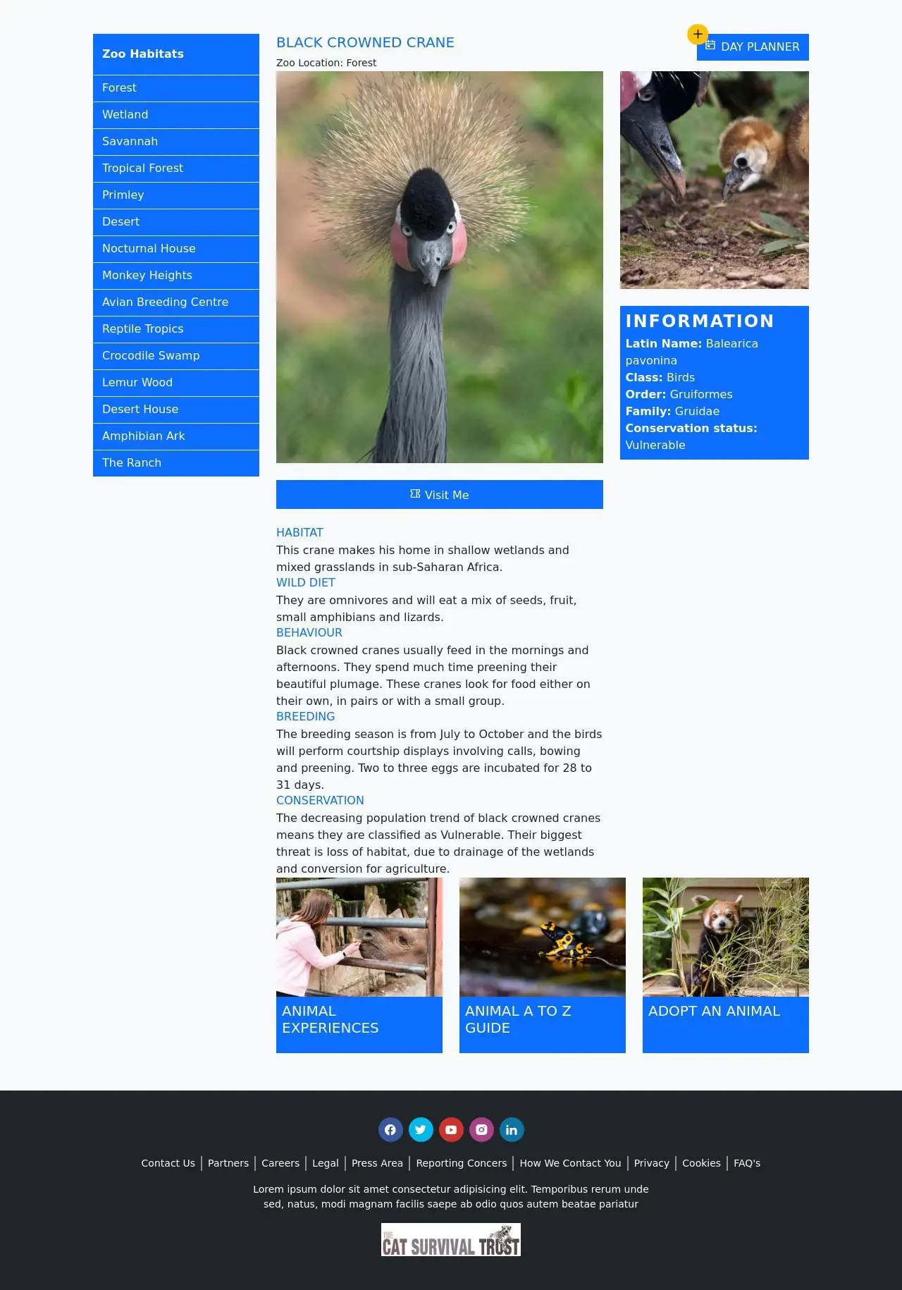 Cat Survival Trust - screenshot 4