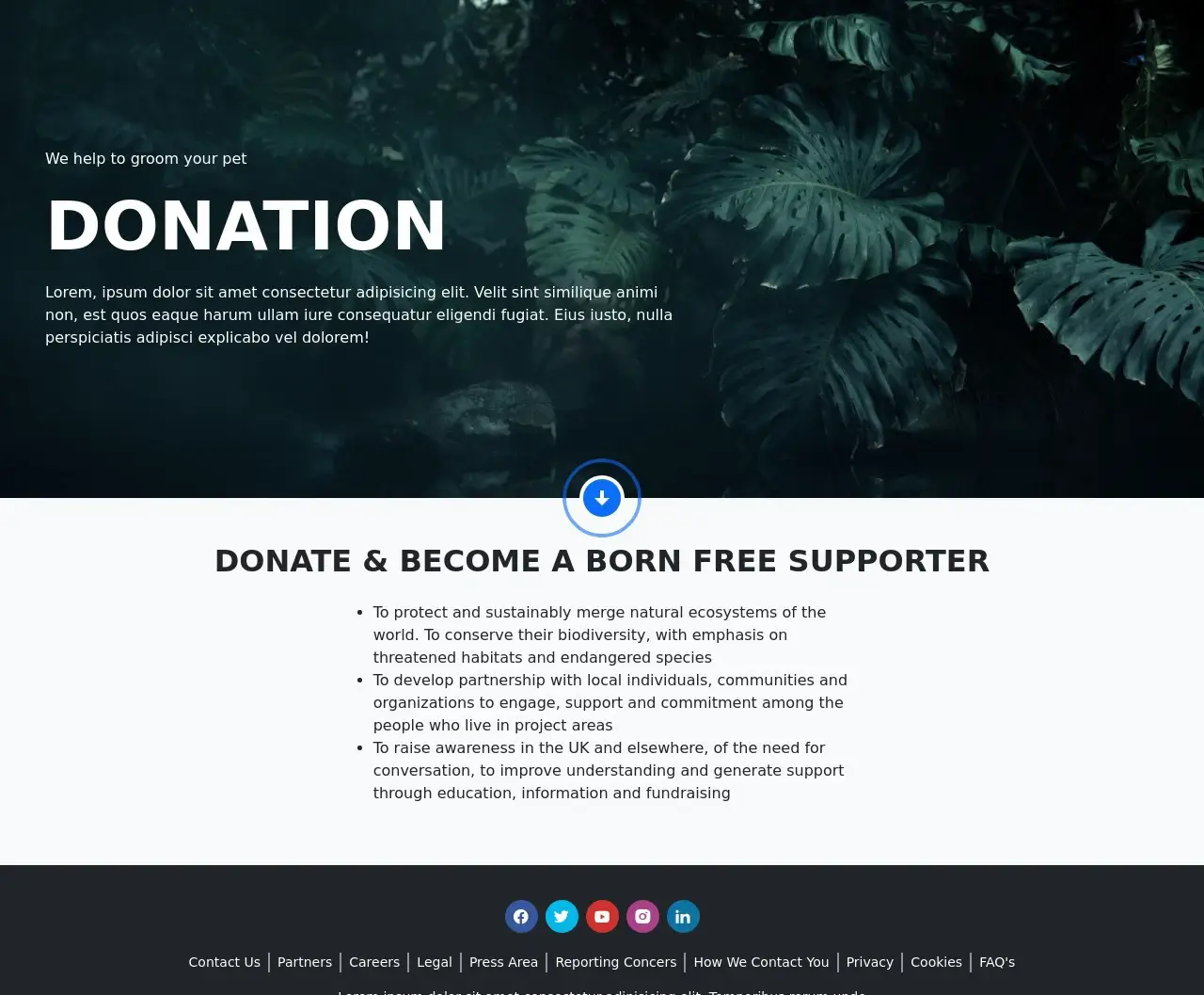 Cat Survival Trust - screenshot 13